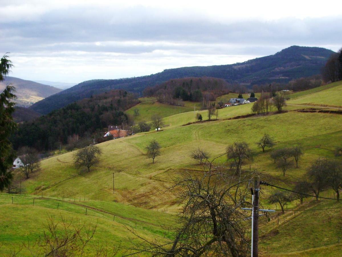 Hebergement Du Chene Fréland エクステリア 写真